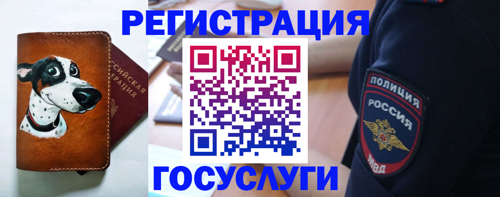 временная регистрация в квартире в Новороссийске